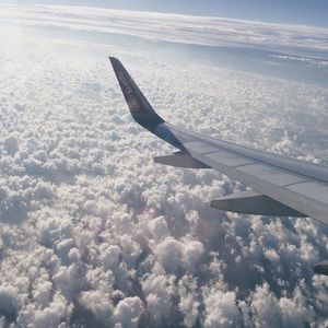 Meet your Posher, Bella